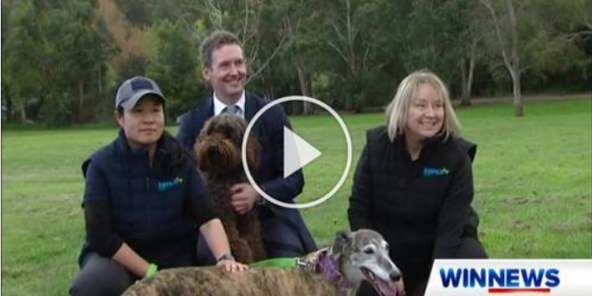 Post preview - Tasmania’s Public Trustee has used world animal day to get Tasmanians thinking about pet care planning